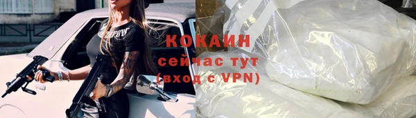 гашик Мегион