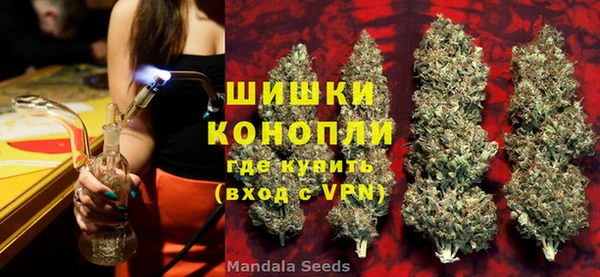 гашик Мегион
