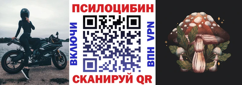 Галлюциногенные грибы GOLDEN TEACHER  ОМГ ОМГ ONION  Медынь 